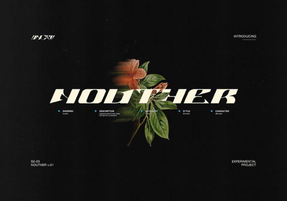 Discover the Power of Nouther: A Modern Display Font for Creative Expression